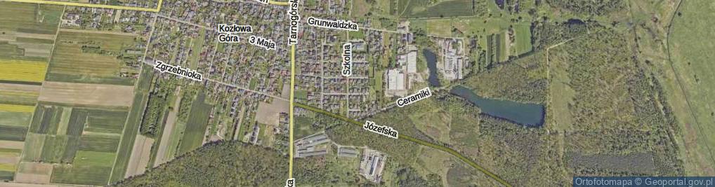 Zdjęcie satelitarne Grzybowa ul.